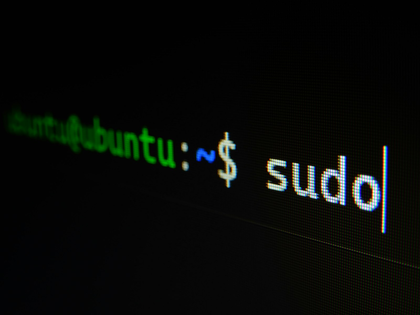 A terminal showing a sudo command on a dark screen
